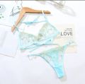 Transparent Bikini set with Floral Embroidery work/Hot Lingerie/Swimwear Bikini By Tashza Mart. 