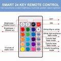 IR Remote Control 24 Keys for RGB LED Strip RGB Bulb W28 Strip Controller Remote. 