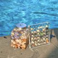 GC Magnetic Seashell Display Box Dustproof Stackable Transparent Acrylic Display Box Ornament Birthday Gifts For Men Women. 