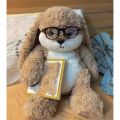 ZEIO Diudiu Rabbit Plush Toy angry Long-eared Rabbit Fluffy Super Cute Bunny Doll Pillow Stuffed Soothing Sleep Toy. 