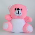 Plain Mini Teddy Bear Dolls | Small Bouquet Bear | Sni Pink Bear Dolls | Plain Dolls. 