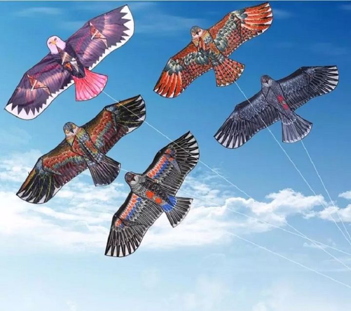 Beautiful%20Big%20Eagle%20Kite%201.5m%205%20Feet%20%7C%7C%20Eagle%20Ghuri%20-5%20Feet%20%7C%7C%20%E0%A6%87%E0%A6%97%E0%A6%B2%20%E0%A6%98%E0%A7%81%E0%A7%9C%E0%A6%BF%20-%20Image%206