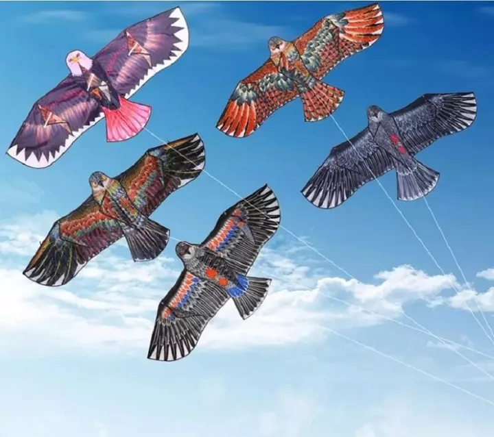 Huge%20Outdoor%20Eagle%20Shape%20Flying%20Kite%205%20%20Feet%201.5m%20-%20Image%207
