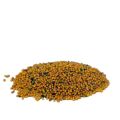 Mustard Seed ( White) - 150 gm / sorisa. 