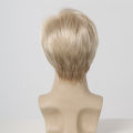 Happy Night ELEMENT Short Synthetic Light Blonde Loose Straight Hair Wig with Bangs Cosplay Party Daily Use Wigs for Man Natural Fiber. 