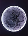 3D Printed Illuminated Moon Wall Lamp with Realistic Lunar Surface Data, COB LED Backlight, Light-Sealed Frame, and Custom Sizes (10-Inch & 20-Inch) for Modern Home Decor and Ambient Lighting. 