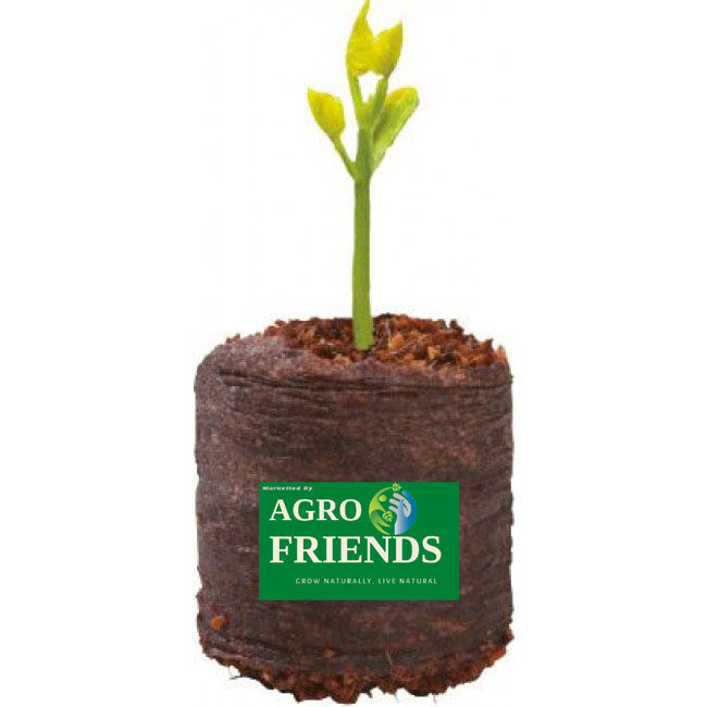 Nutrient COCO-Tab For Seedling and Germination (Imported 50mm & 30mm )