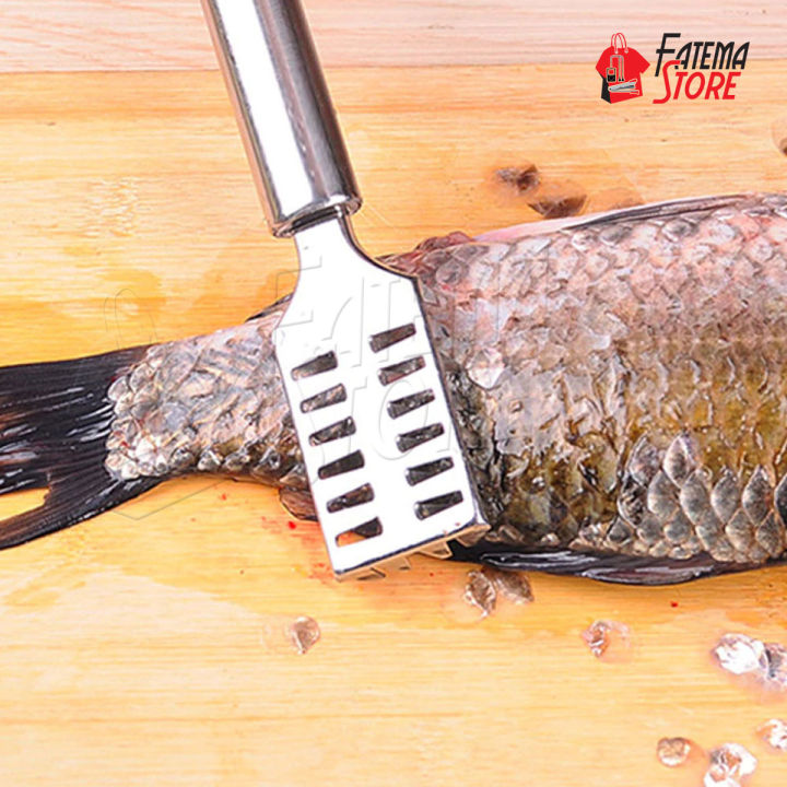 Stainle,ss Steel Fish Scale Cleaner - Silver | Daraz.com.bd