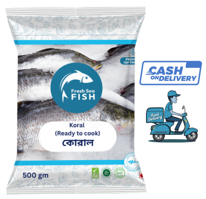 Fresh Sea Fish Koral  (Ready to cook) 500g