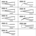 Qiunery 10PCS Precision Tweezers Set, Stainless Steel Tweezer Maintenance Tool, Anti-Static Tweezers For Eyelash Maintenance Tool, Electronics, Jewelry-making,Laboratory Work Tweezers Sets.