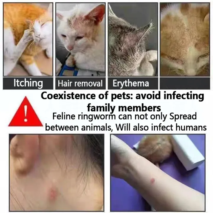 %E3%80%90Safe%20not%20afraid%20to%20lick%E3%80%91Magic%C2%AE%20ubat%20kutu%20kucing%20ubat%20cacing%20kucing%20ubat%20kurap%20kucing%20paling%20berkesan%20ubat%20sporo%20kucing%20ubat%20luka%20untuk%20kucing%20ubat%20fungus%20untuk%20kucing%20medicine%20for%20skin%20pet%20spray%20skin%20disease%20medicine%E7%8B%97%E7%8B%97%E7%9A%AE%E8%82%A4%E7%97%85%E8%8D%AF%20-%20Image%203
