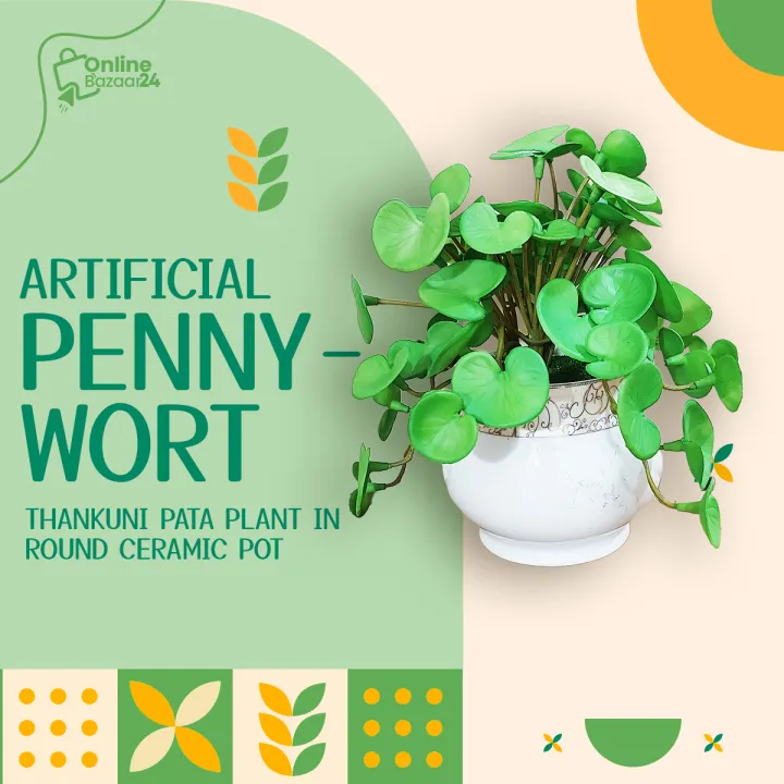 Artificial%20Thankuni%20pata%20Plant%20In%20Round%20Ceramic%20pot-%20Thankuni%20pata%20With%20Tub%20-%20Home%20Decoration%20Item%20-%20Home%20Decoration%20Item%20-%20artificial%20flower-Artificial%20Thankuni%20leaves%20Plants%20-%20Image%202