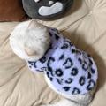 Leopard Print Winter Cat Clothes 2-Legged Thickened Warm Soft Easy To Wear Pet Boys Girls Tiny Cat Outfits.