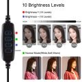 PULUZ 10.2 inch 26cm Ring Curved Light + Desktop Arm Stand USB 3 Modes Dimmable Dual Color Temperature LED Vlogging Selfie Photography Video Lights with Phone Clamp(Black). 