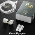 Kinera Celest WYVERN / WYVERN PRO Dynamic Driver Earphone with Detachable Boom Mic Earbud Pickup Gaming Esports Livestreaming. 