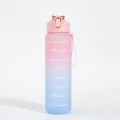 750ML Sports Water Bottle Frosted Gradient Water Cup Drinking Portable Straw Cups Drinkware Outdoor Travel Gym Fitness Jugs. 