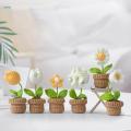 Crocheted Planter Crocheting Craft Table Centerpieces Crochet Kit for Kid Teens Beginners. 