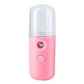 30ML Mini Facial Steamer Facial Sprayer USB Nebulizer Humidifier Moisturizing Hydrating Women Beauty Skin Care Tool AmourV.