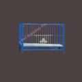1 Floor Nut System Folding Cage Made by 13no. Wire With plastic coded on China Model Pigeon Cage Each Floor Size Length 24"× Width 24" × Height 18 ". 