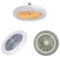 2 In 1 LED Ceiling Fan Modern Lamp White Light For Bedroom Decoration Lighting Ceiling Fan With Light Good Sleep Ultra-Quiet Fan. 