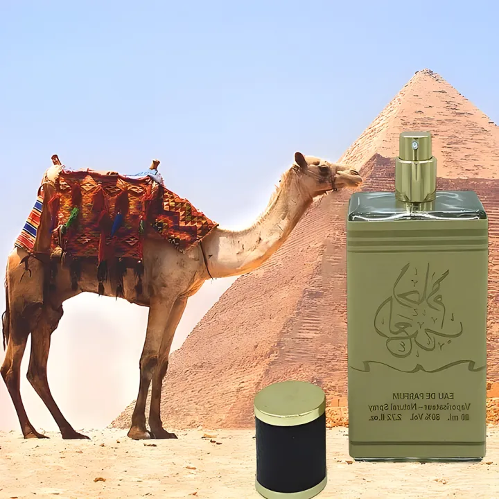 80ml%20Original%20High%20Grade%20Fragrance%20Oil%20Workdating%20Scent%20Arab%20Desert%20Spring%20Unisex%20Pheromone%20Perfume%20Essential%20Oils%20For%20Deodorant%20-%20Image%202