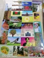 National Symbols of Bangladesh Flashcards pictures for kids- 36 Pcs. 