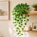 Artificial Hanging Vines Plant 7 Feet Long Decorative Flower Leaf Garland – Fake Hanging Vine for Home Wall Balcony Garden Office Party Event Decoration. 