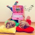 Learning Machine For kids 65 Function children intelligent laptop. 