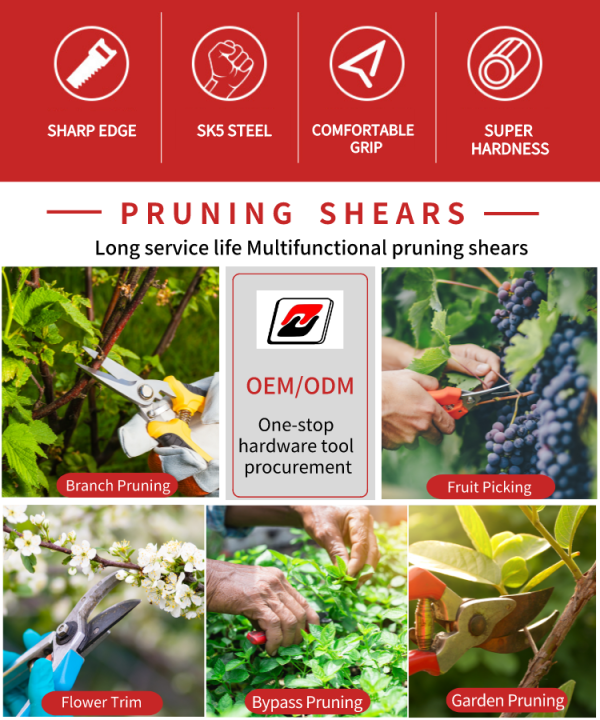 Garden%20Scissor,%20Pruning%20Scissor,%20Rust%20proof%20SS%20Material,%20%20Pruning%20Shears%20for%20Plants%20,%20Smooth%20Brunch%20Cutter%20for%20your%20Garden.%20-%20Image%205