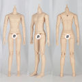 22cm 23.5cm YMY23/25 Male Body Joint Doll DIY Boy Body for Blyth, GSC Head, Ob22,ob23,ob24 BJD Doll Accessories Toy Superman. 