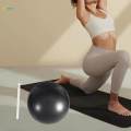 Small Pilates Ball Core Ball Heavy Duty Thickened 9 inch Exercise Ball Yoga Ball for Gymnastics Working Out Stability Home Gym.