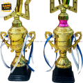 Cricker Tournament Gold Trophy Recognize Excellence on the Court with This Gold Trophy Standing 12 & 14 Inches approx Tall. 