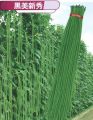 Hybride String Beans (Borboti)Seeds -30Pcs. 