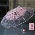 Transparent Umbrella.