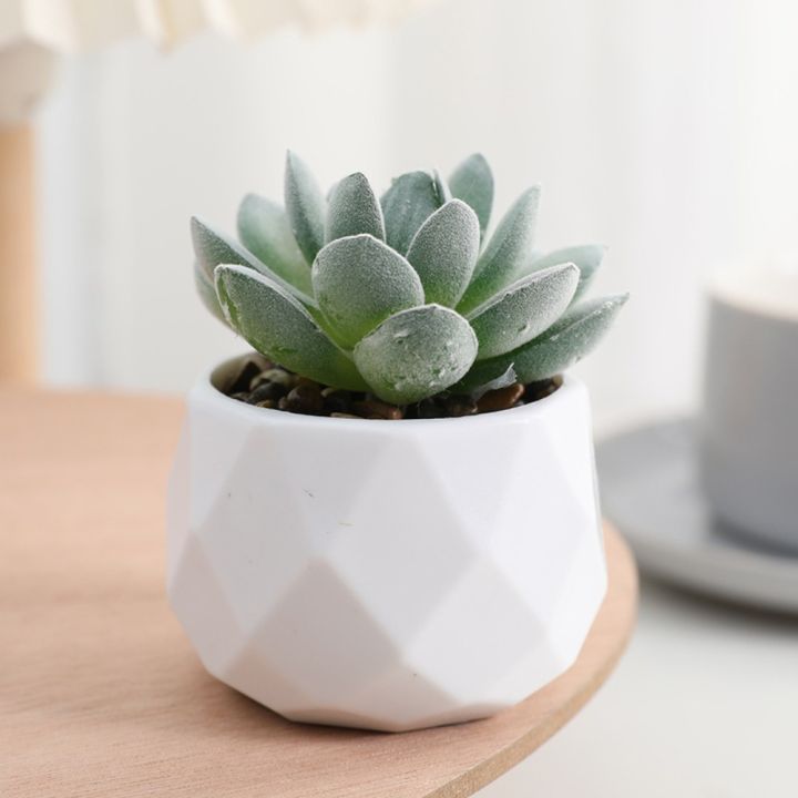Mini Evergreen Artificial Succulent Fake Plants Plastic Succulents Bonsai Cactus Bonsai Plants Home