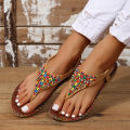 Bohemia Style Clip Toe Sandals Women 2023 Summer Flat Heels Gladiator Sandals Woman Plus Size 43 Rome Beach Shoes Flip-Flops House Foocus.