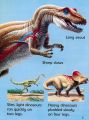 Dinosaurs. 
