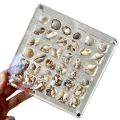 GC Magnetic Seashell Display Box Dustproof Stackable Transparent Acrylic Display Box Ornament Birthday Gifts For Men Women. 