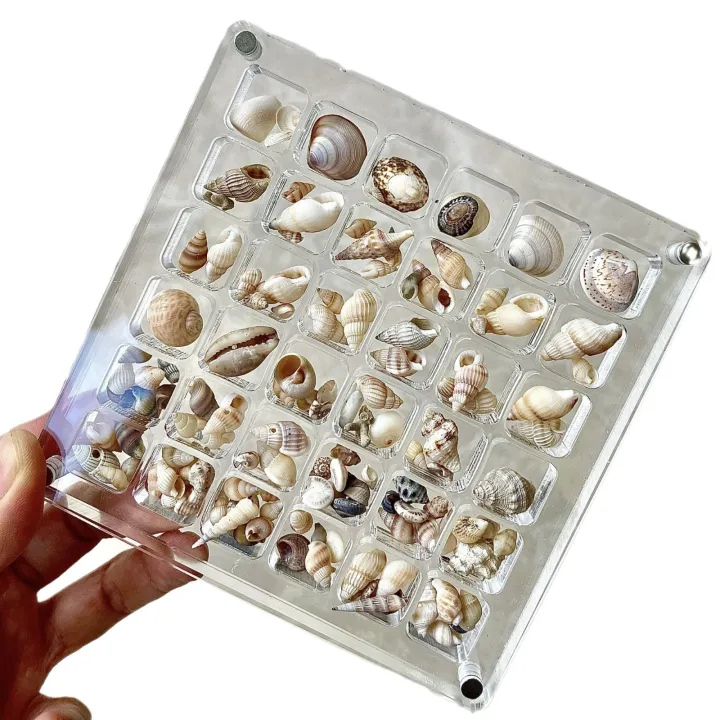 GC%20Magnetic%20Seashell%20Display%20Box%20Dustproof%20Stackable%20Transparent%20Acrylic%20Display%20Box%20Ornament%20Birthday%20Gifts%20For%20Men%20Women%20-%20Image%206