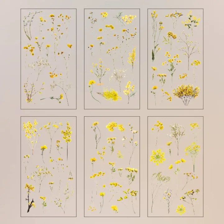 6%20pcs/pack%20Adhesive%20PVC%20Plant%20Flower%20Sticker%20Journal%20Supplies%20DIY%20sticker%20Vintage%20Transparent%20Flower%20Stickers%20Waterproof%20Clear%20PET%20Scrapbook%20Stickers%20Album%20-%20Image%206