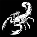 Scorpion Totem Decals Car Stickers Car Styling Vinyl Decal Sticker for Cars Decoration. 