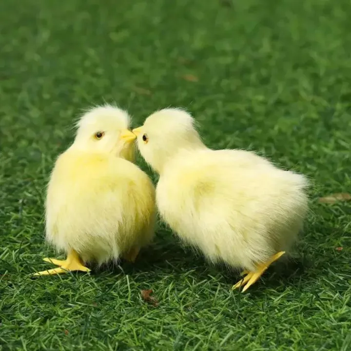 Realistic%20Chick%20Decoration%20Furry%20Animal%20Doll%20Simulation%20Sound%20Chicken%20Soft%20Plush%20Toy%20Easter%20DIY%20Miniature%20Chicken%20Toys%20For%20Kids%20-%20Image%202