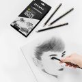 Professional Drawing Sketching Pencil Set, 12 Pieces Art Pencils Graphite Shading Pencils for Beginners Pro Artists. 