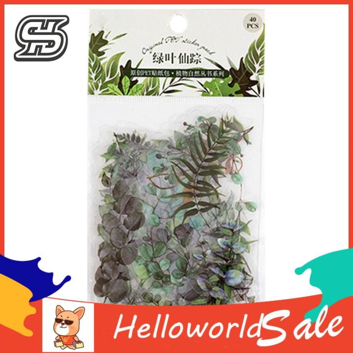 New%20HelloWorld%20Floral%20Journaling%20ticker%20Tranparent%20PET%20Vintage%20Natural%20Flower%20Planner%20ticker%20-%20Image%202