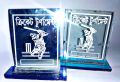 Cricket Award - Mini Trophy - Crest - Recognize Achievements In Cricket With These Mini Trophies Or Crests - Perfect For Award Ceremonies And Competitions. 