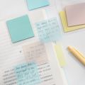 【Factory-direct】 Panda Online 50 Sheets Transparent Multicolor PET Sticky Notes Waterproof Stickys Memo Messages Post it Notes. 