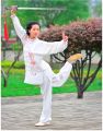 Retractable Sword, Tai Chi Kung Fu Martial Arts Magic Sword. 