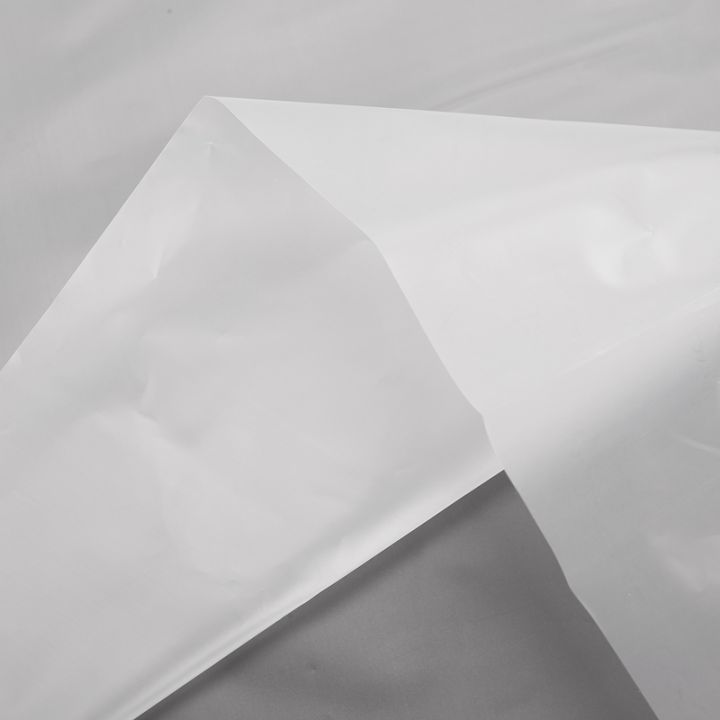 12%20inch%20Vinyl%20Record%20Protecter%20LP%20Record%20Plastic%20Bags%20Anti-Static%20Record%20Sleeves%20Outer%20Inner%20Plastic%20Clear%20Cover%20Container%20100Pcs%20-%20Image%209