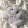 Taba Squishy Toy Mushy Silicone Mochi Toy Fuzzy Cute Hamster Handmade Squishy Toy Tabby Stress Release Hand Relax Gift. 