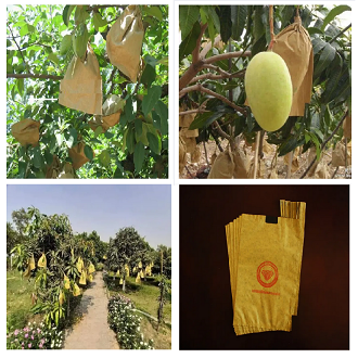 Waterproof%20Mango%20Paper%20Bag%2010%20Pieces%20-%20Image%205